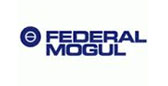 Federal Mogul